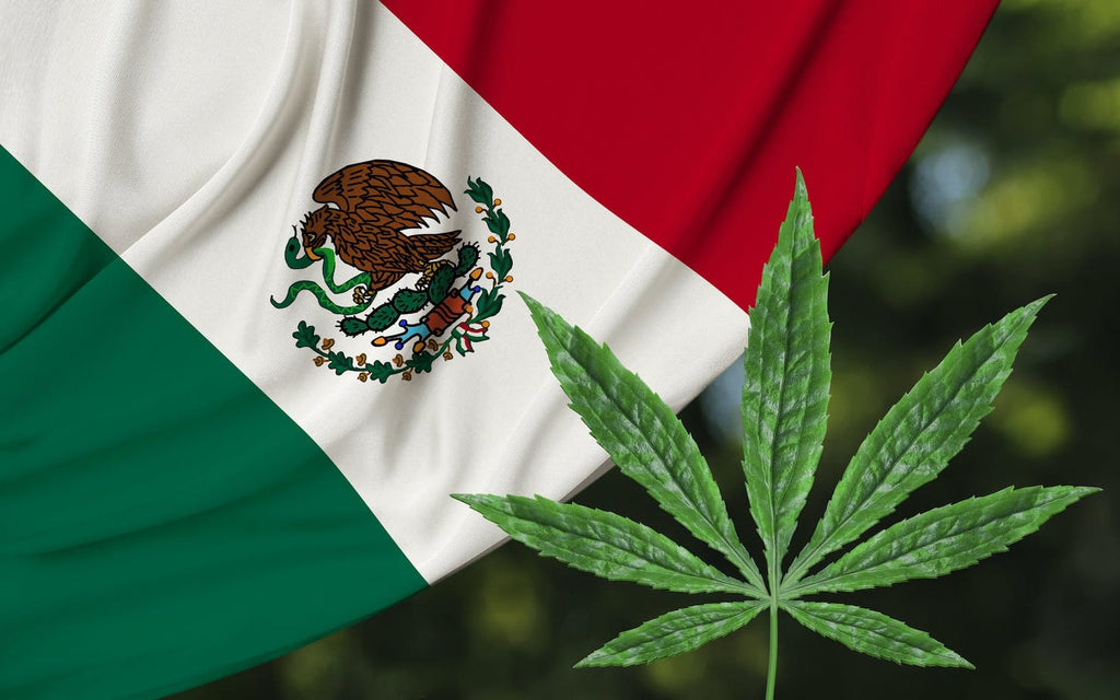 Mexico is moving to legalize cannabis in 2021. What does that mean for the US?